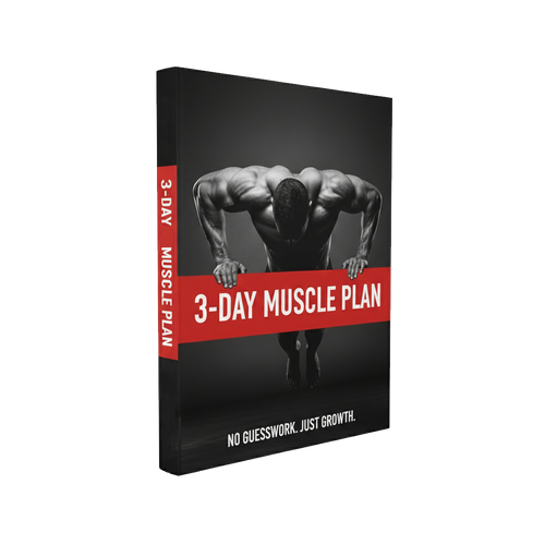 3-Day Muscle Plan - Push Pull Legs Workout Guide