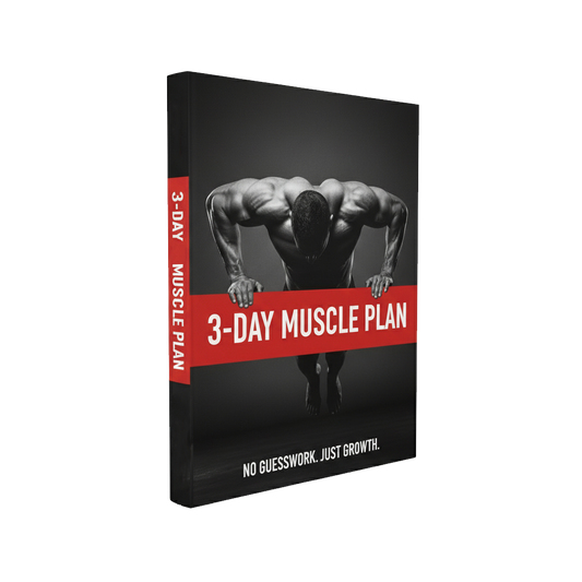 3-Day Muscle Plan - Push Pull Legs Workout Guide